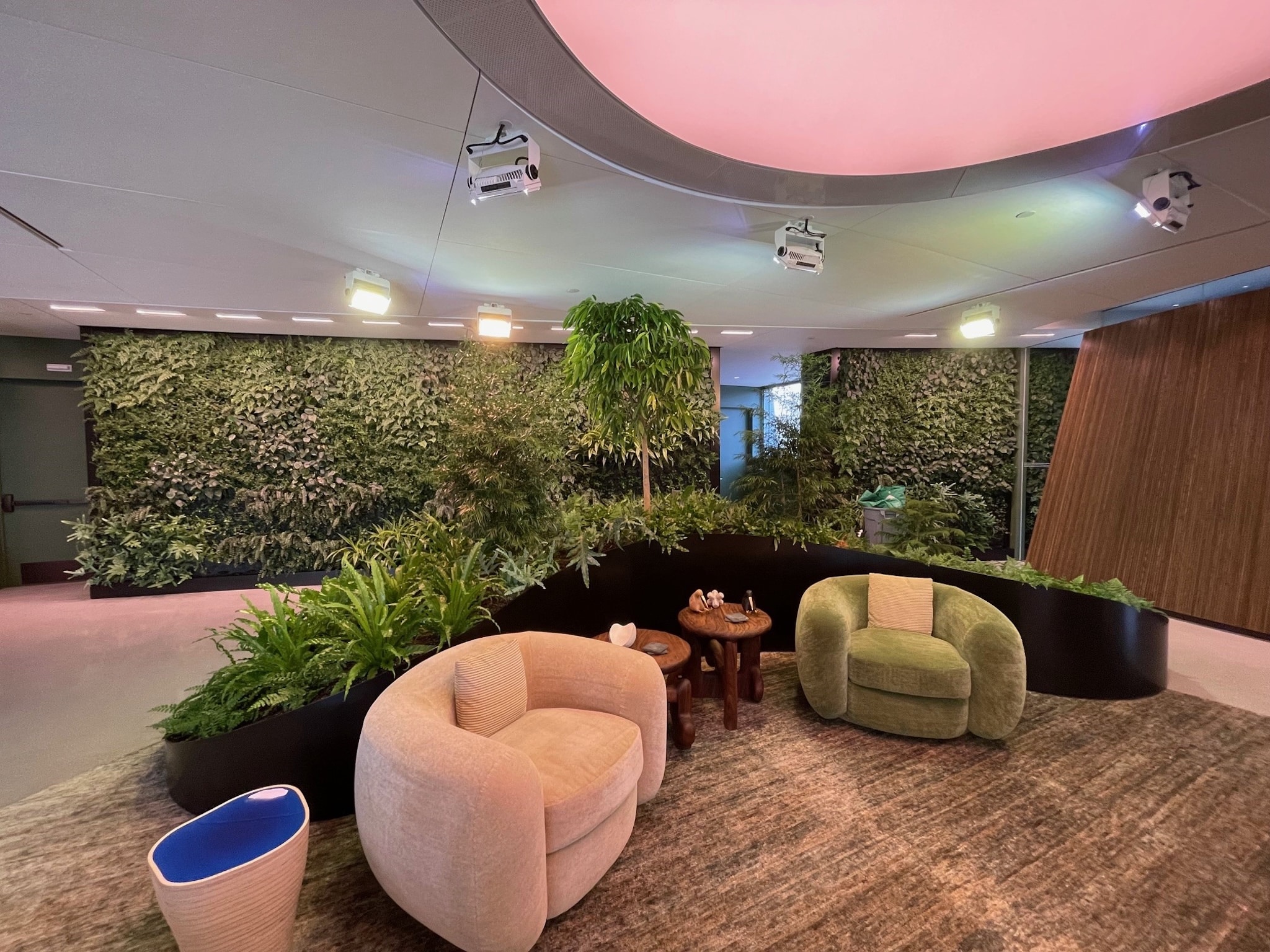 A vibrant indoor plant installation, designed to enhance a modern office space, potentially inspired by biophilic design principles seen in tech companies.