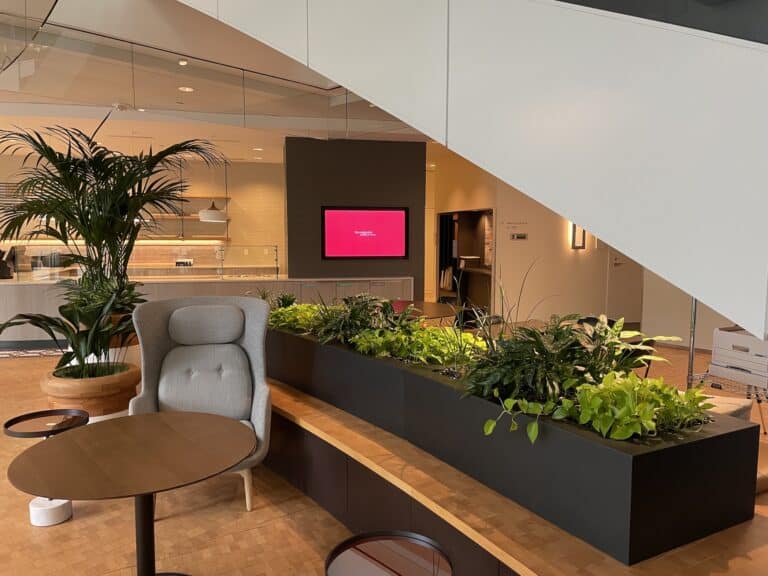 An office space featuring integrated planters as partitions, filled with various green plants such as Buxus, Golden Pothos, and Hosta, to enhance the workspace environment.