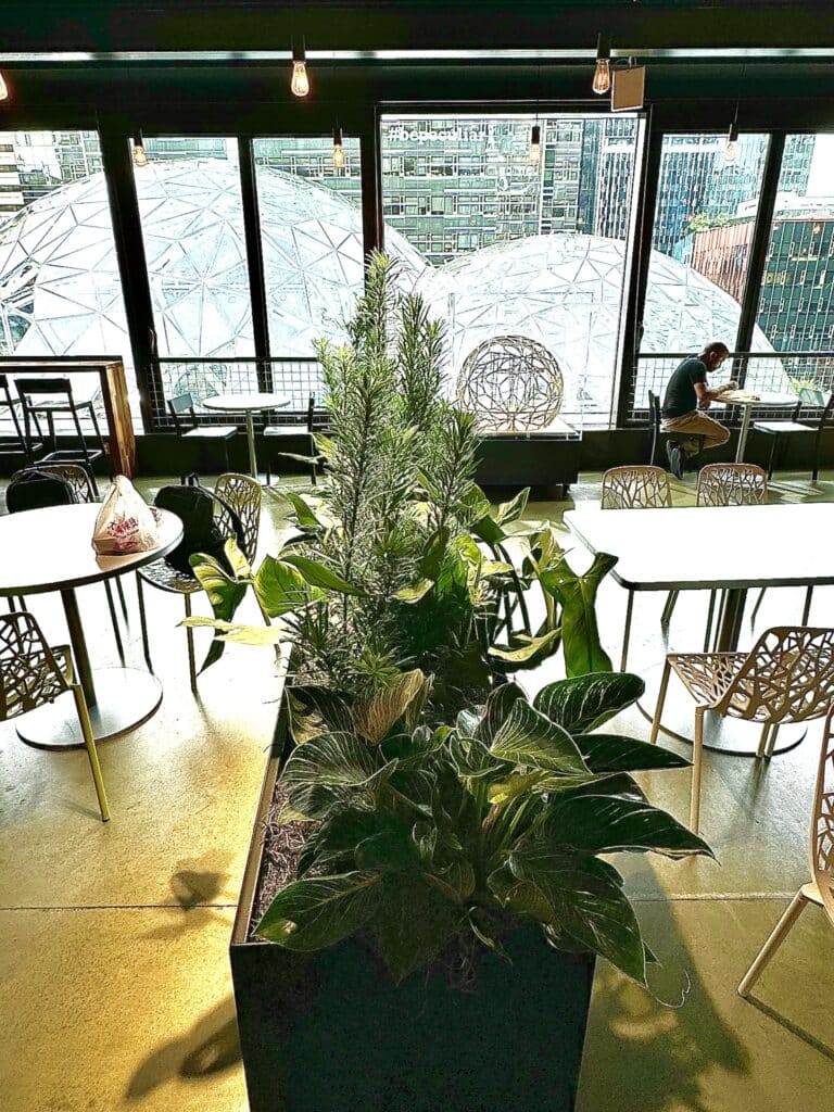 Indoor seating with modern tables and chairs beside a large black rectangular planter filled with green plants, overlooking a greenhouse structure outside.