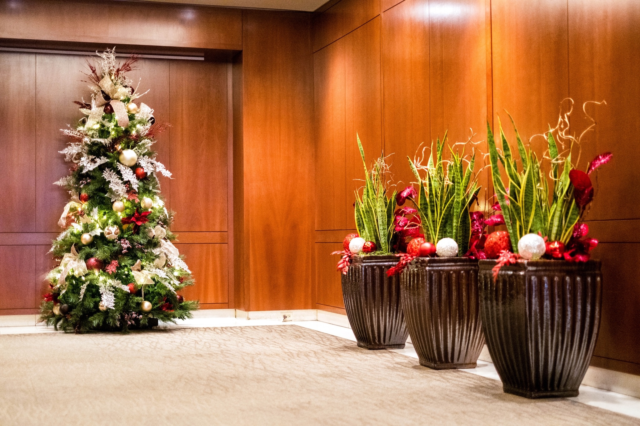 Festive holiday tree and snake plant display with ornaments in a commercial hallway