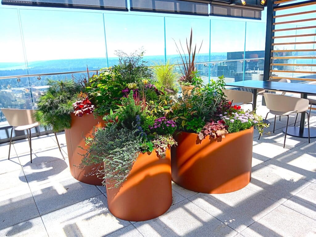 Group of large round terracotta planters brimming with colorful flowers and greenery arranged as a rooftop garden focal point.