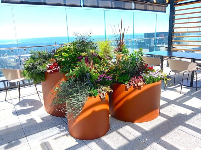 Group of large round terracotta planters brimming with colorful flowers and greenery arranged as a rooftop garden focal point.