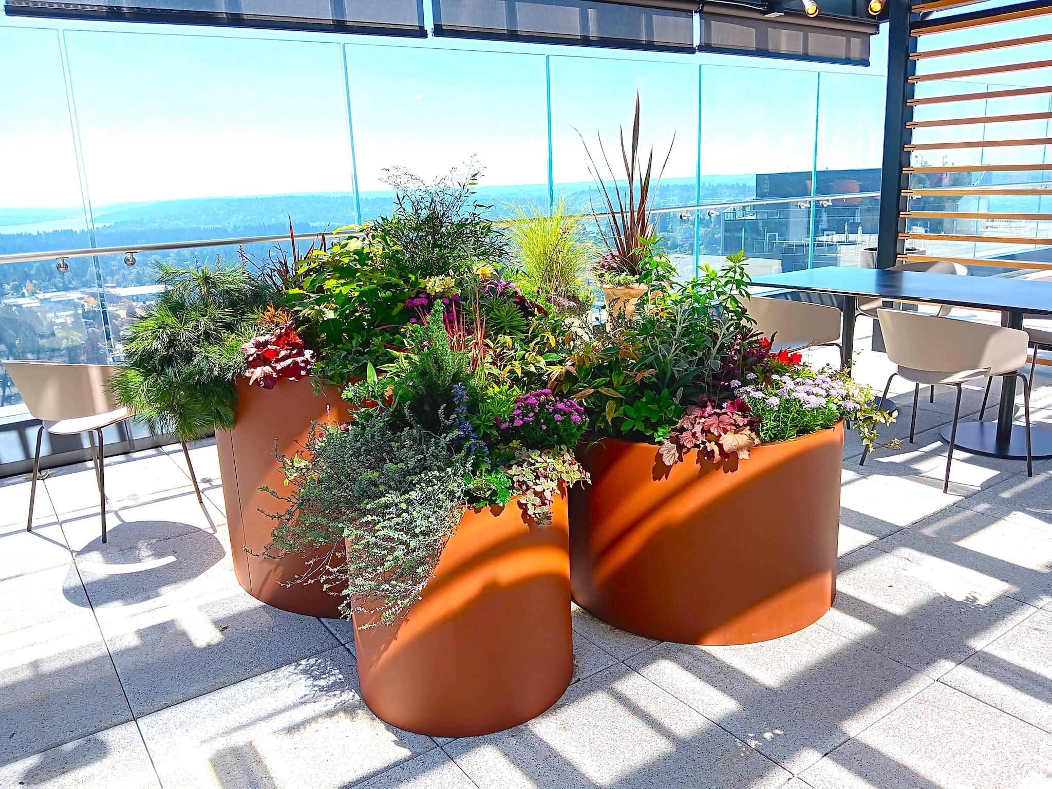 Group of large round terracotta planters brimming with colorful flowers and greenery arranged as a rooftop garden focal point.