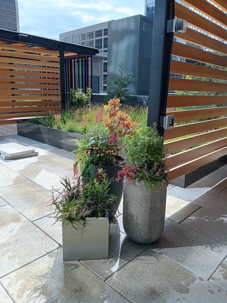 Cluster of mixed-texture planters with evergreen shrubs and perennial flowers on a rooftop patio.
