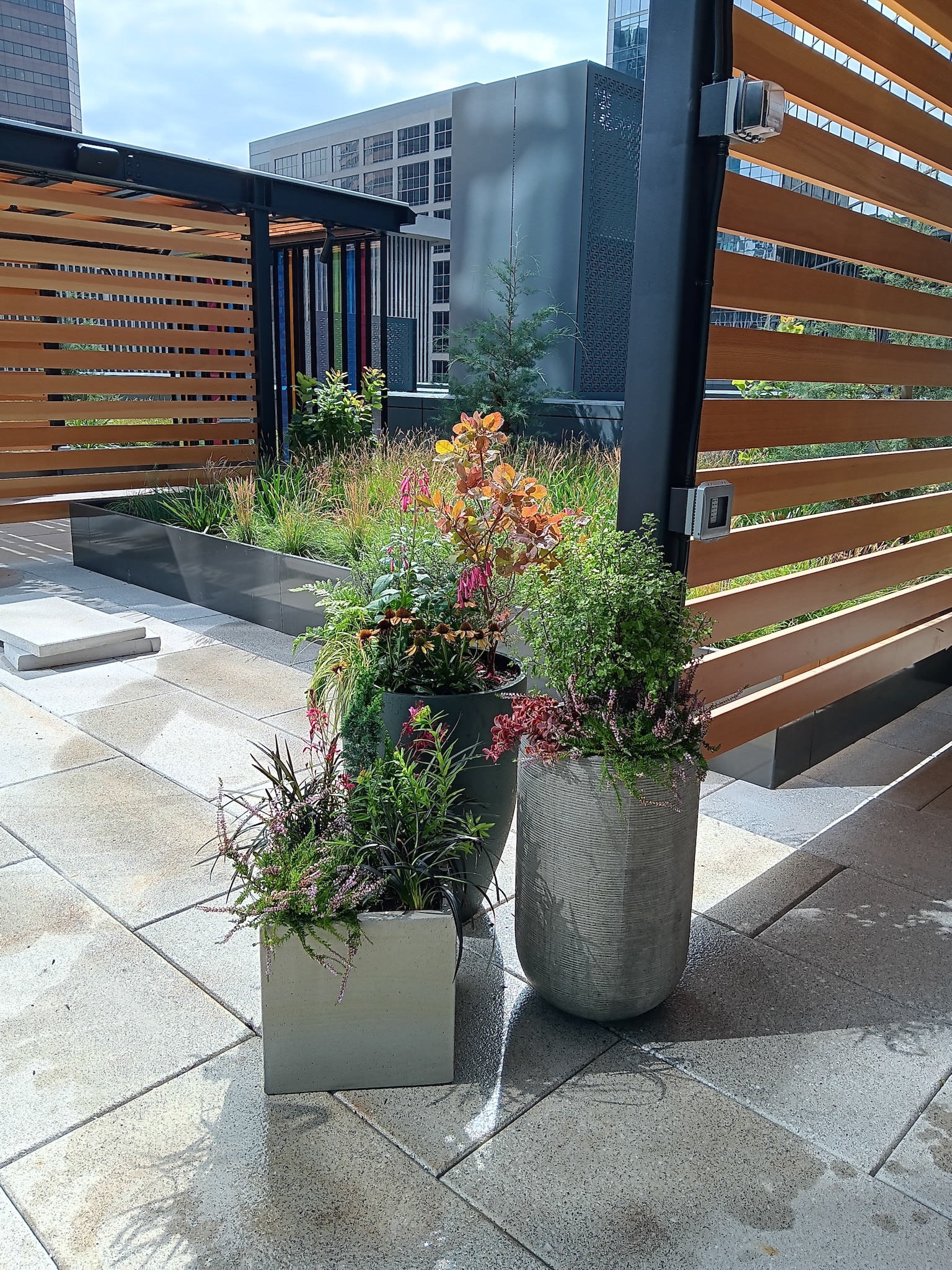 Cluster of mixed-texture planters with evergreen shrubs and perennial flowers on a rooftop patio.