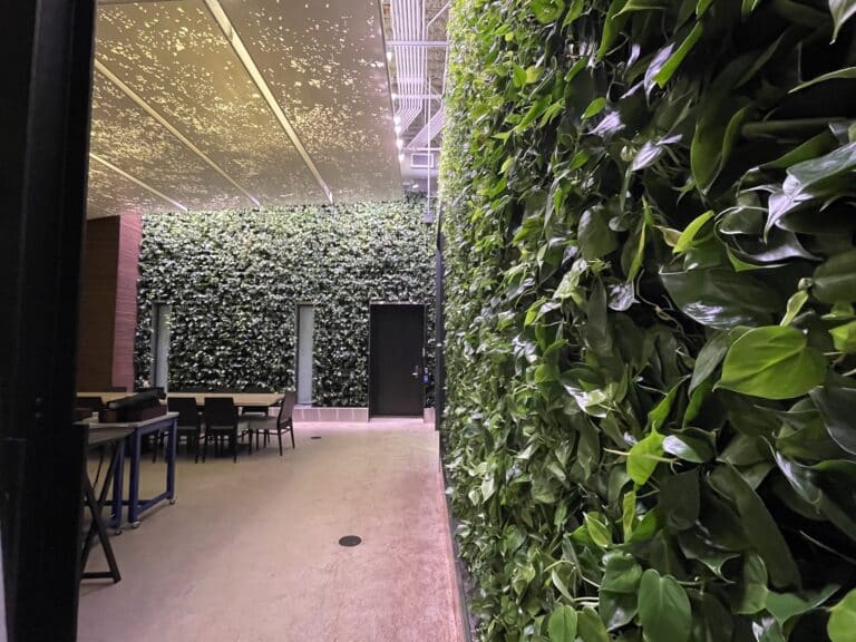 Lush green living wall installation in an indoor urban courtyard space