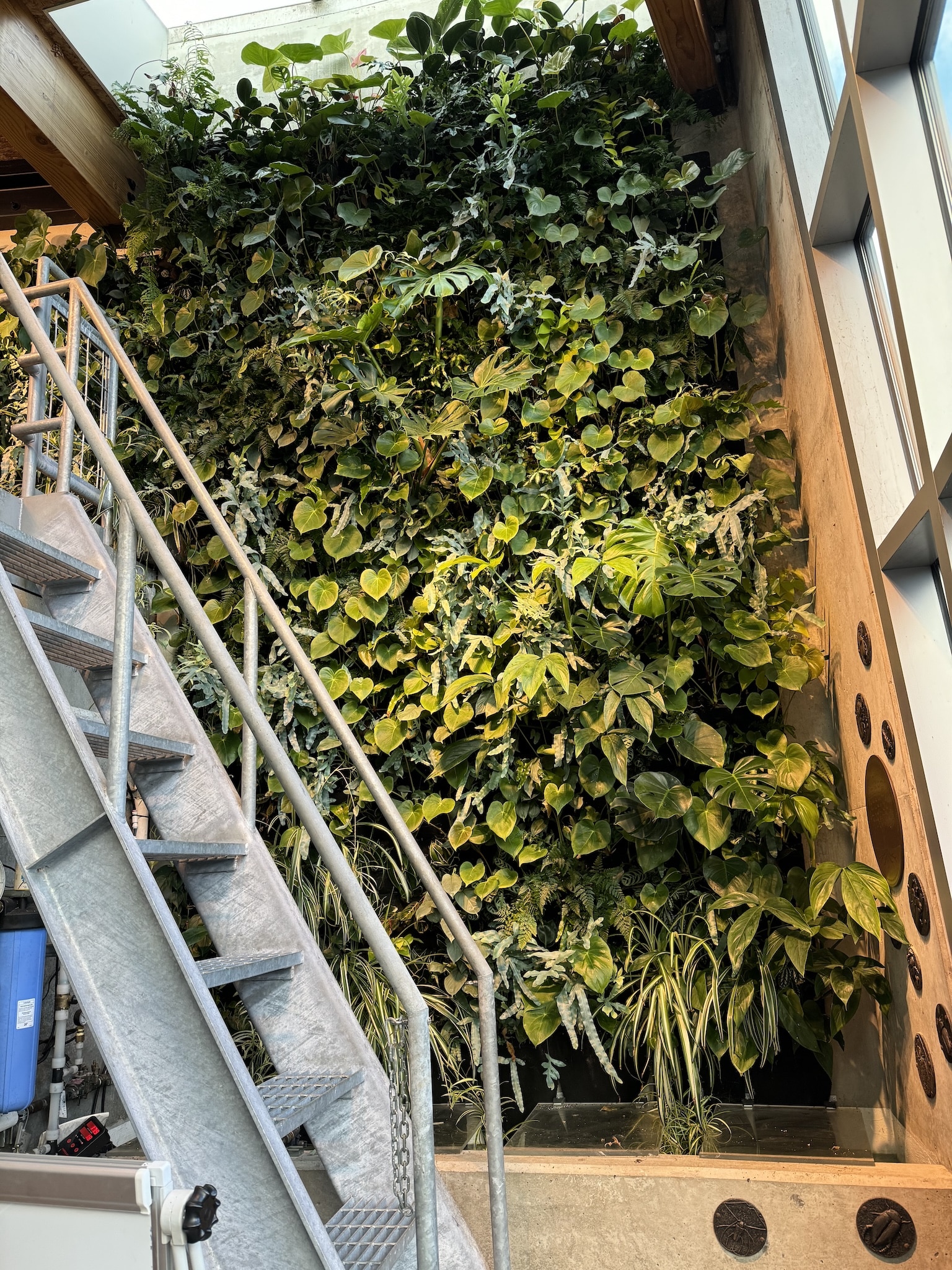 lush vertical garden installation under staircase with modern industrial framing