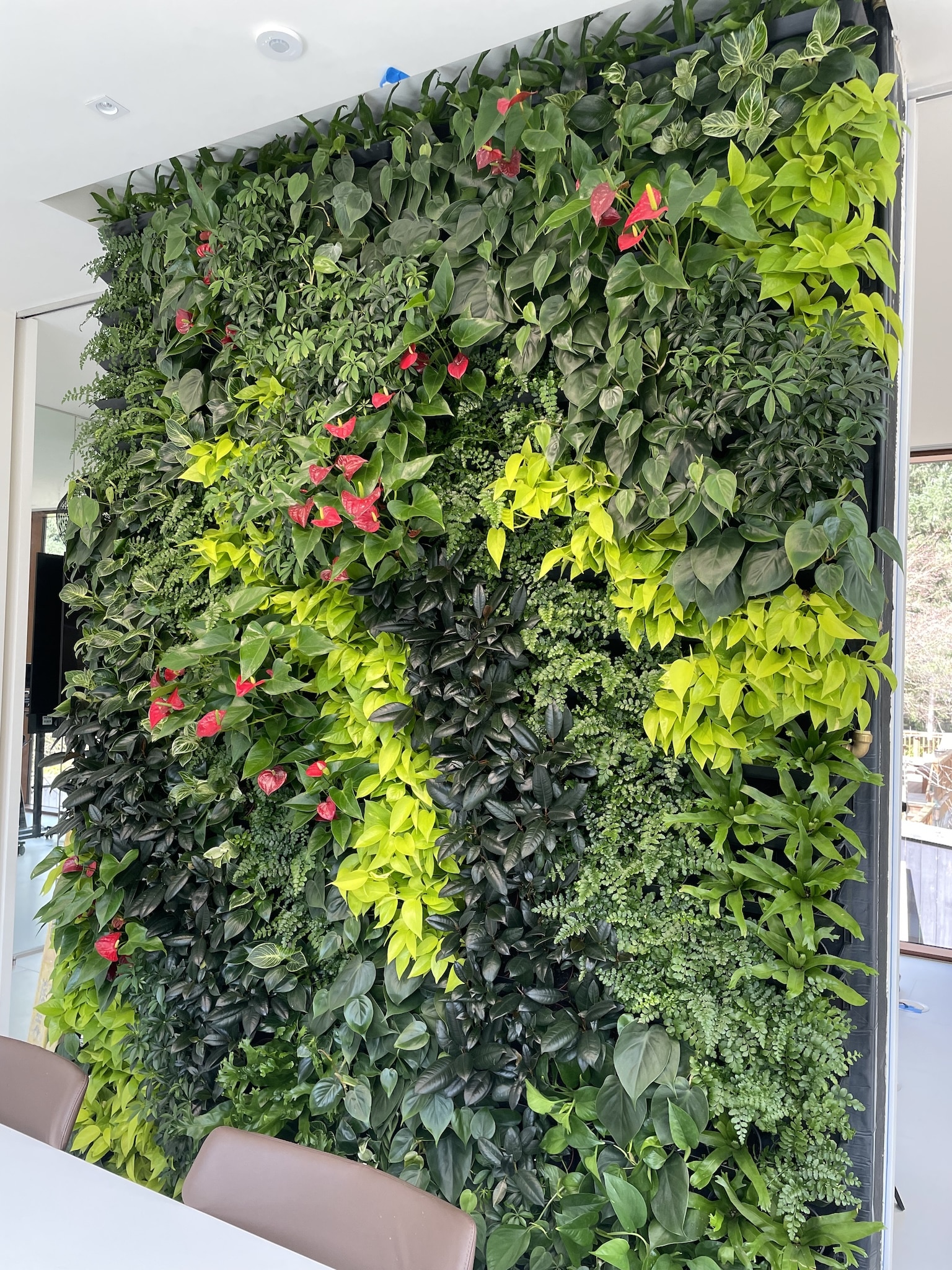 Close-up of vertical garden showcasing vibrant chartreuse and deep green foliage in a modern space.