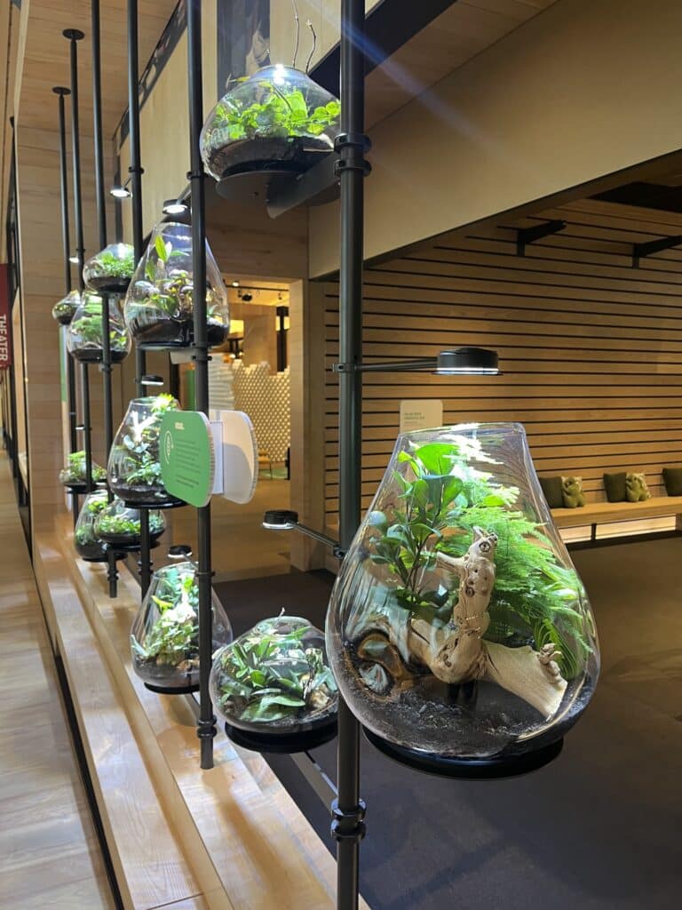 Cluster of hanging and mounted glass terrariums filled with moss and tropical miniatures in a warm-toned retail or exhibit space.