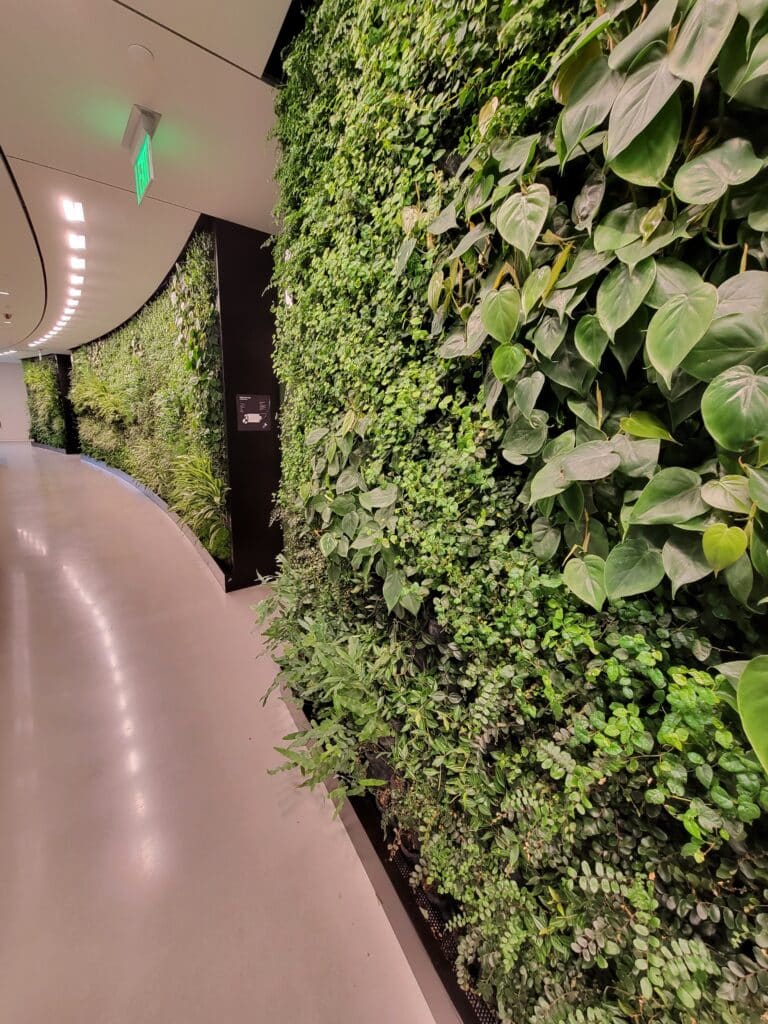Expedia living wall
