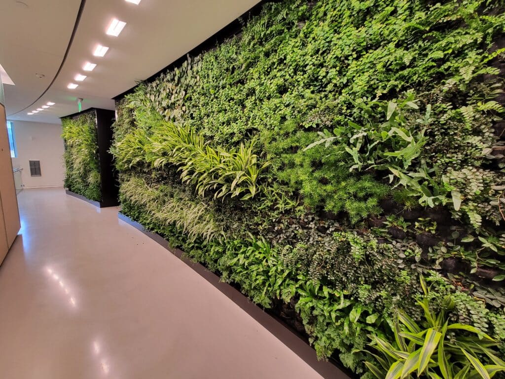 living wall from Expedia