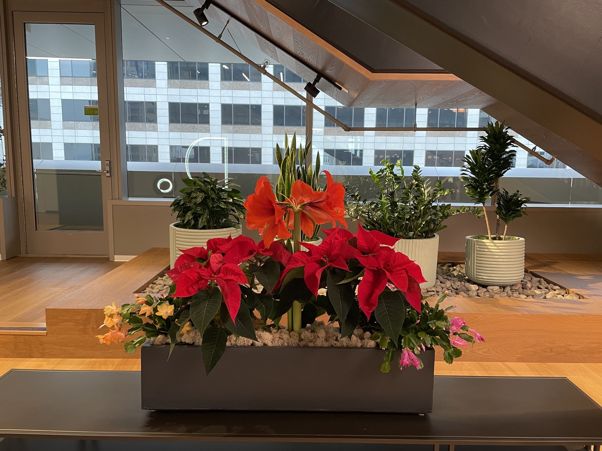 Seasonal floral arrangement with poinsettias and amaryllis under stairwell