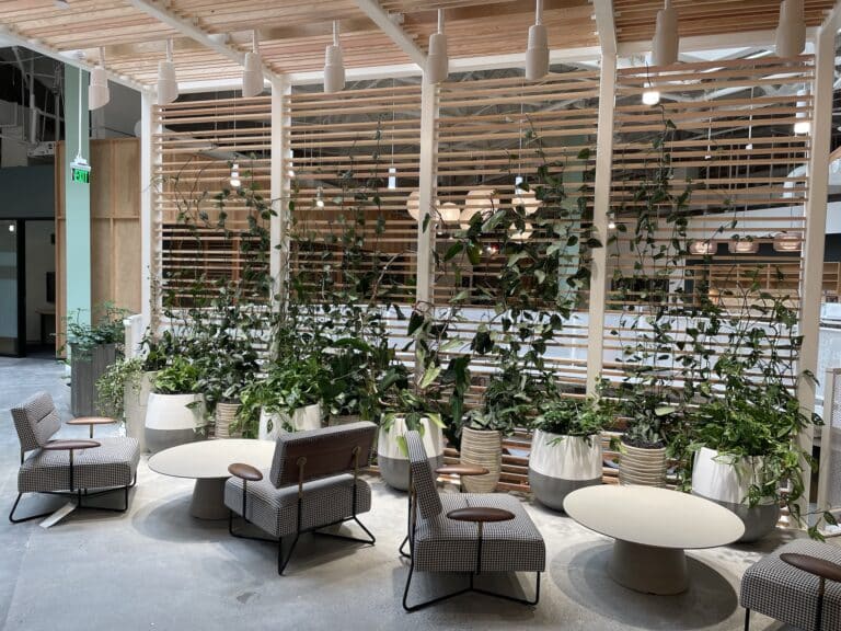 A contemporary showroom space, possibly for Kettal furniture, featuring minimalist design and large windows, with subtle plant arrangements enhancing the modern aesthetic.