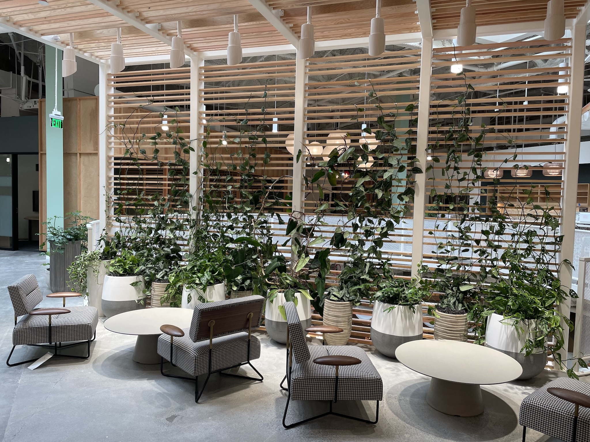 A contemporary showroom space, possibly for Kettal furniture, featuring minimalist design and large windows, with subtle plant arrangements enhancing the modern aesthetic.