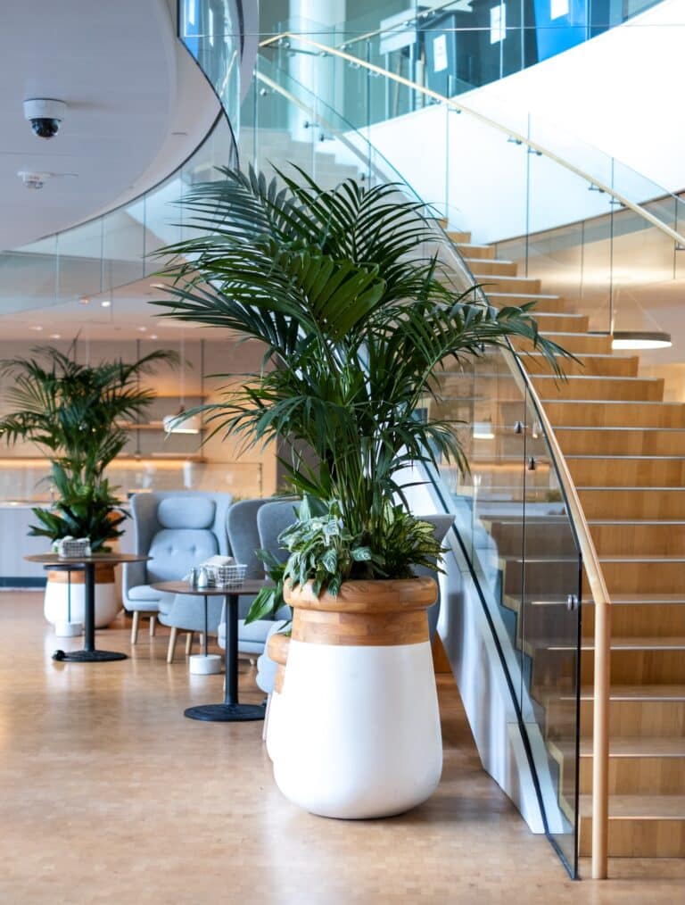 Sculptural white and wood planter with lush palms and foliage in a contemporary office lobby.