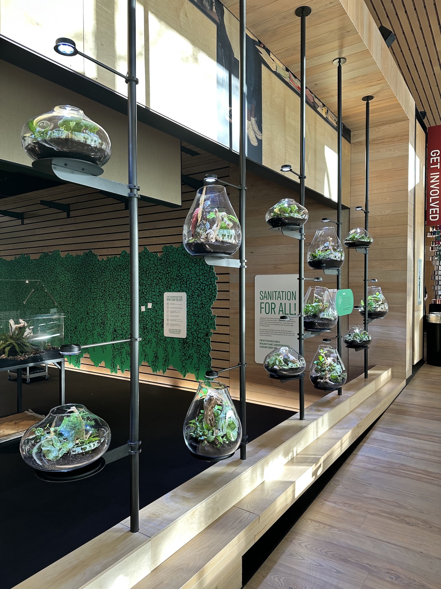 Row of hanging glass terrariums in a modern educational exhibit space