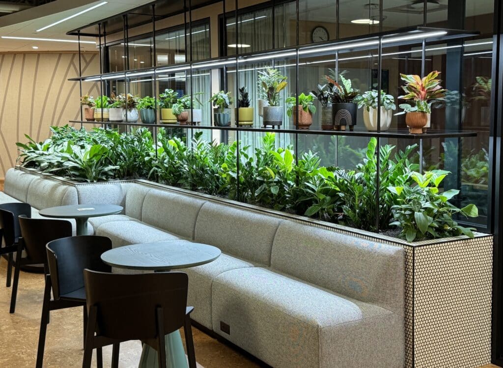 A contemporary office interior featuring a long, comfortable bench seating area with numerous potted plants on a shelf above, creating a biophilic design element.