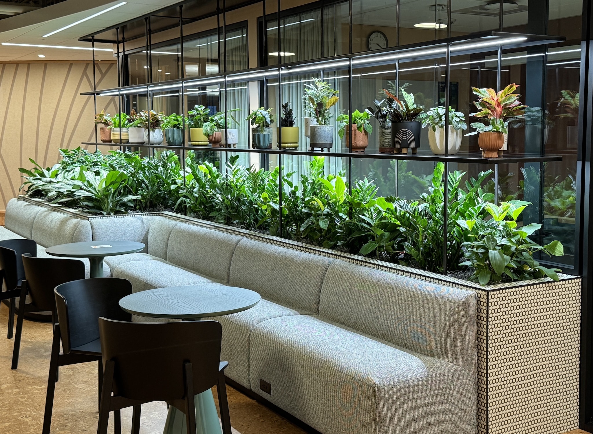 A contemporary office interior featuring a long, comfortable bench seating area with numerous potted plants on a shelf above, creating a biophilic design element.