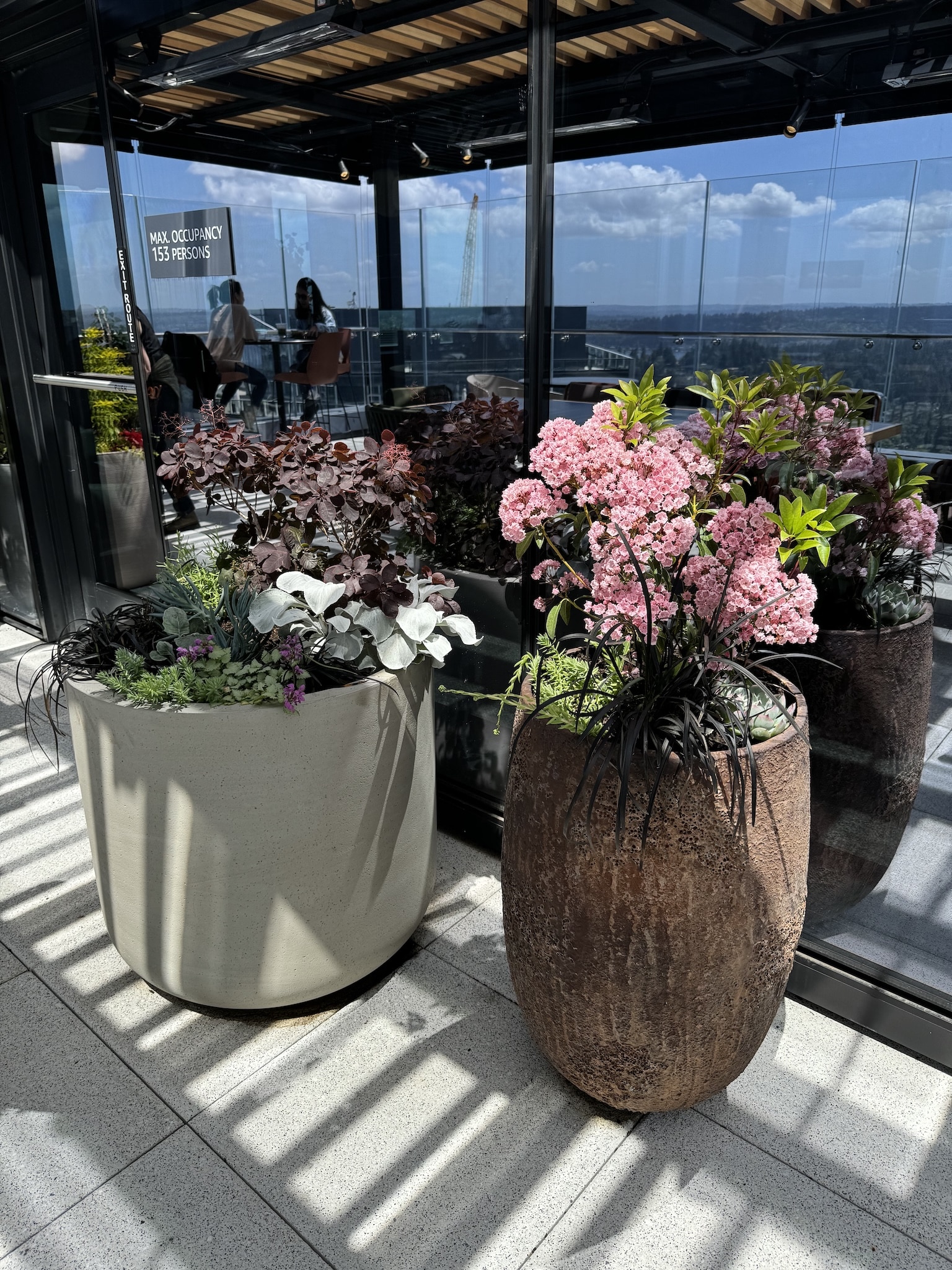 Pink flowering shrubs and smokebush in textural planters on an upscale rooftop terrace.