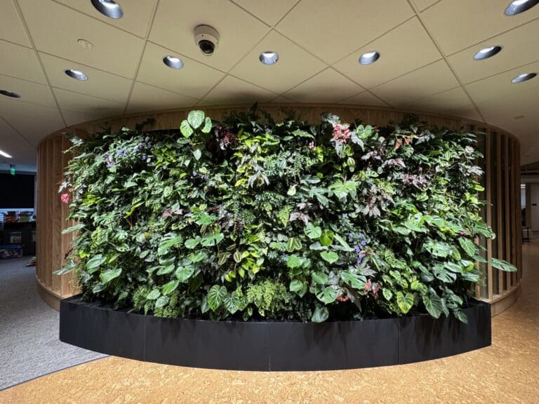 Curved indoor living wall with a vibrant mix of foliage in an office setting
