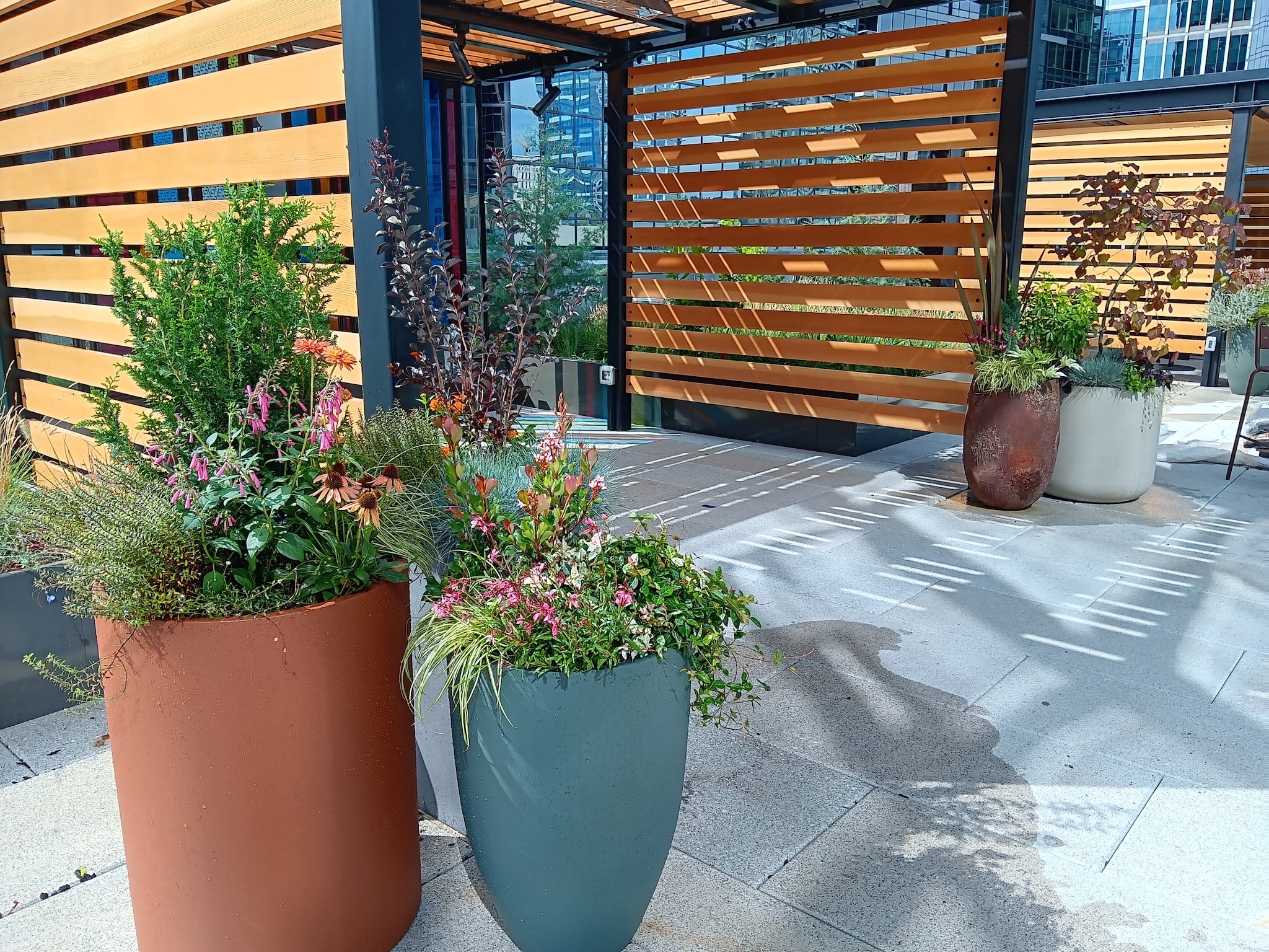 Clustered colorful flower planters in terracotta and teal vessels beside wooden slat pergola in a sunny urban plaza.