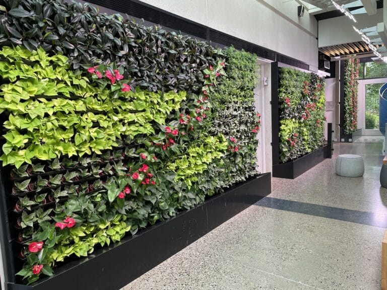 Vibrant plant wall with bright red anthuriums and contrasting foliage
