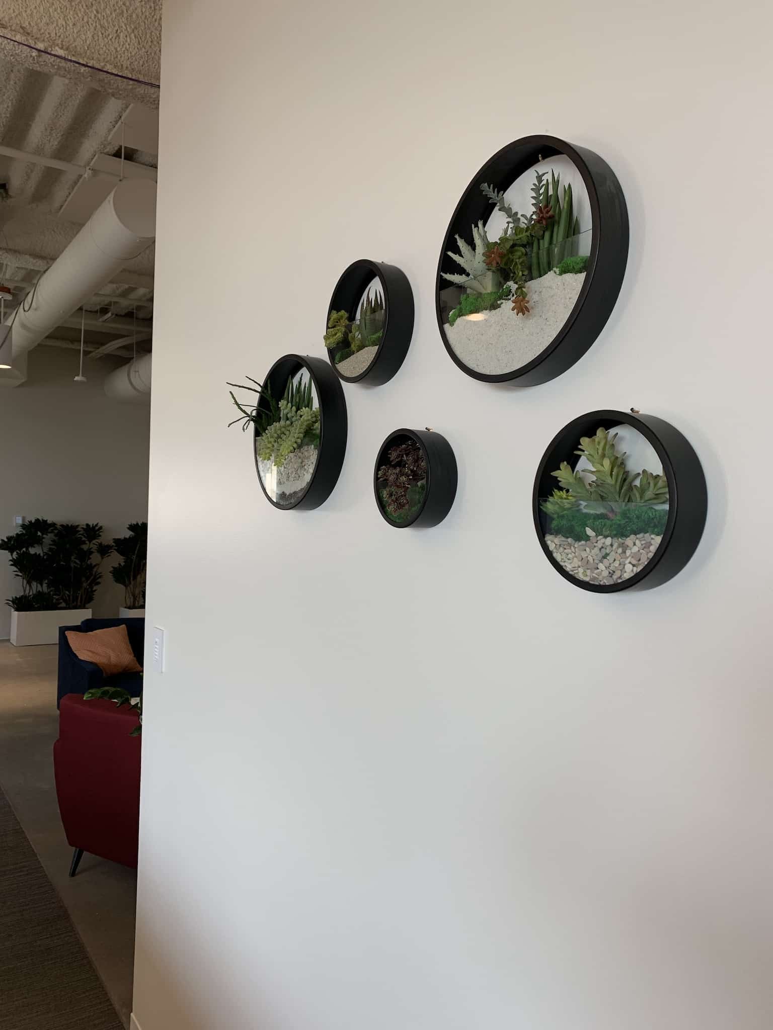 small round wall planters with succulents and white sand in minimalist office